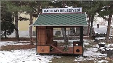 SOKAK KEDİLERİ İÇİN SIĞINMA VE BESLENME EVİ